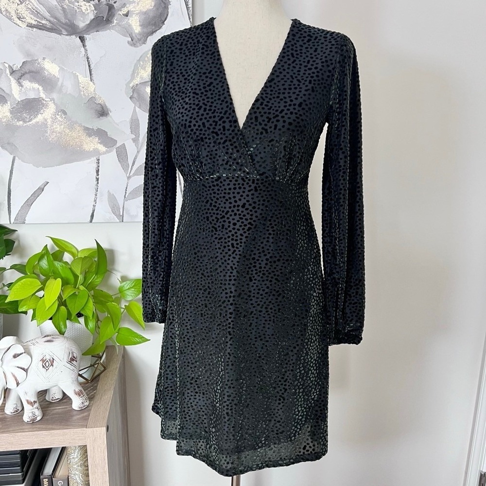 Dark Green Burnout Velvet Swiss Dot Fairy Goth Dress Long Sleeve Vneck